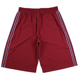 Striped Nylon Baggee Short (Cardinal)