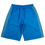 Striped Nylon Baggee Short  (Turquoise)
